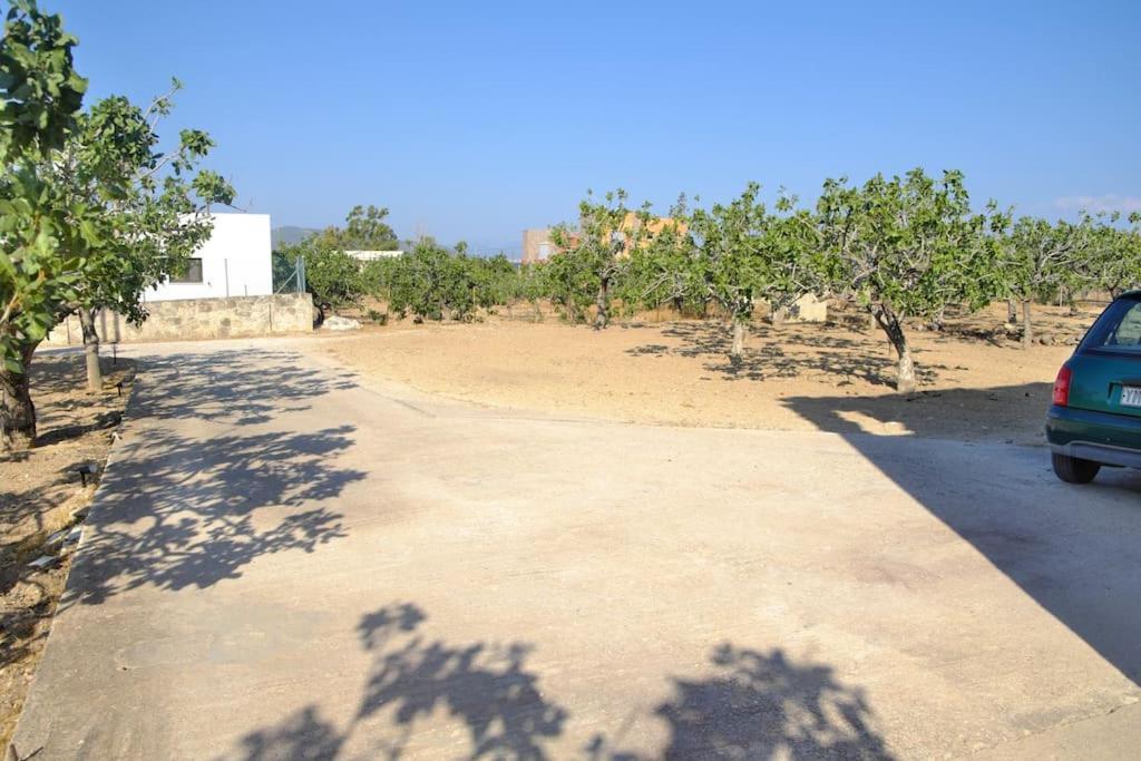 فيلا Nick'S House Aegina المظهر الخارجي الصورة