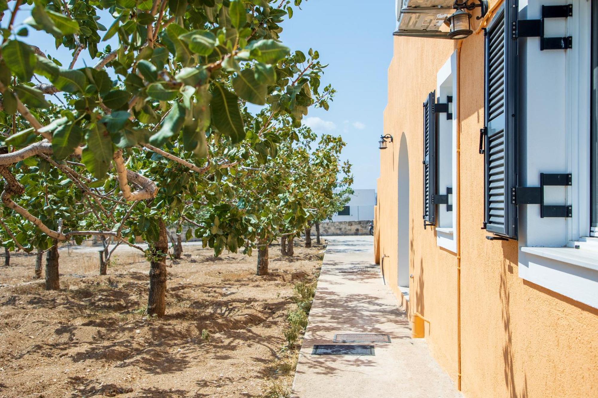 فيلا Nick'S House Aegina المظهر الخارجي الصورة